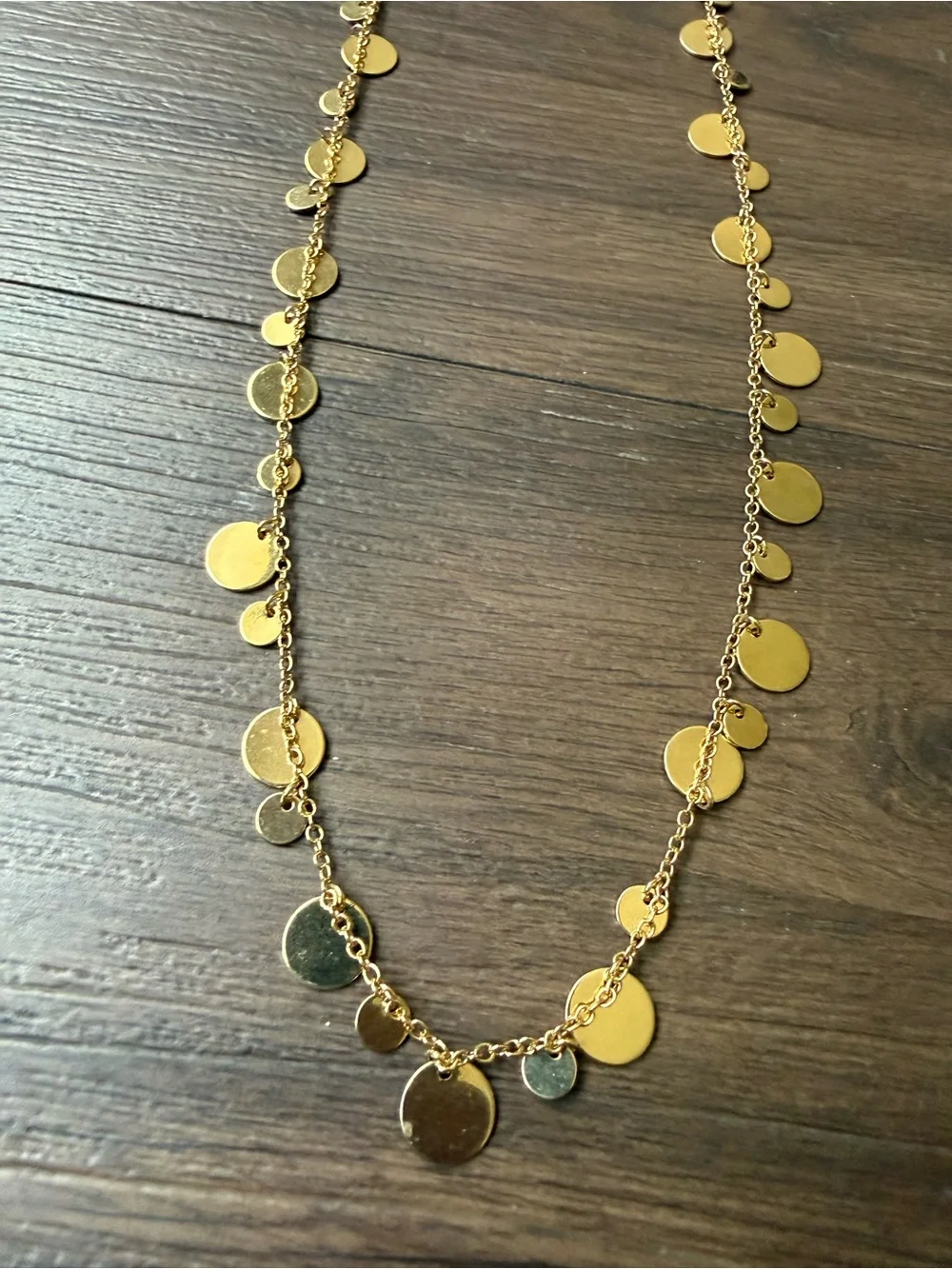 Lia Sophia Panorama Reflection Collection Necklace Gold Tone Disc Long Necklace